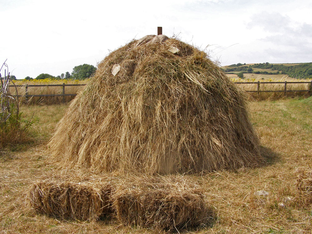 Roman-Hay